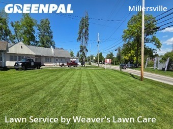 Yard Cutting nearby Indianapolis, IN, 