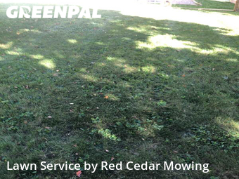 Lawn Cutting nearby Lansing, MI, 