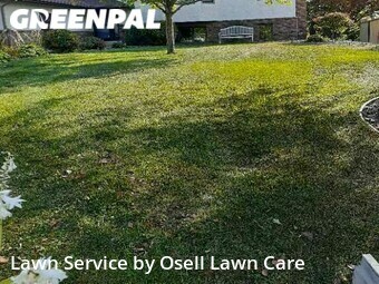 Grass Cut nearby Plymouth, MN, 