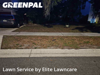 Lawn Maintenance nearby Tampa, FL, 