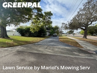 Grass Cut nearby Clearwater, FL, 