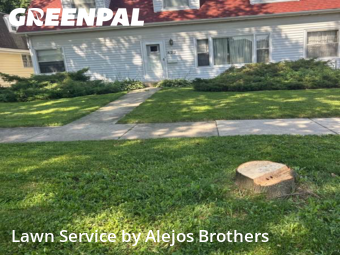 Lawn Carein Elmhurst,60126,Grass Cut by Alejos Brothers, work completed in Feb , 2026