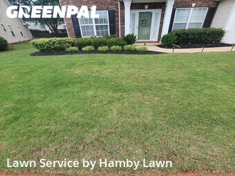 Lawn mowed in Greenville, 29607