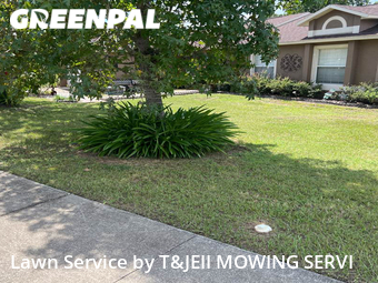 Lawn Service nearby Clermont, FL, 