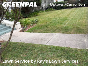 Landscapers In New Orleans,70115,Landscaping by Ray's Lawn Services, work completed in Dec , 2025