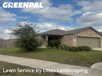 Yard Mowingin Katy,77494,Lawn Cut by Lilies Landscaping, work completed in Nov , 2025