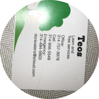 Teo’s Landscaping  headshot