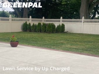 Yard Care Services in Southgate, 48195, Turf Services by Up Charged , work completed in Nov , 2025