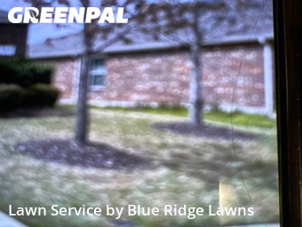 Lawn Mow nearby Princeton, TX, 