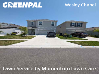 Lawn Mow nearby Wesley Chapel, FL, 