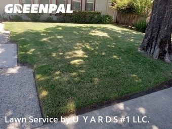 Grass Cutting nearby Modesto, CA, 