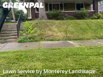 Grass Cut nearby Indianapolis, IN, 