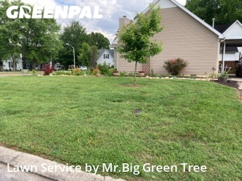 Lawn Cut nearby Murfreesboro, TN, 