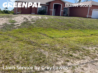 Lawn Mowing Service nearby Cape Coral, FL, 