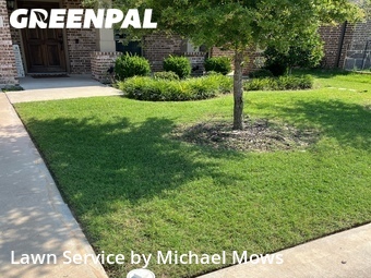 Lawn Cut nearby White Settlement, TX, 