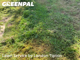 Weekly Mowing in Conway, 72032, Yard Work by Landon Tipton, work completed in Nov , 2025