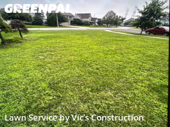 Grass Care in Lockport, 60441, Yard Grooming by Vic’s Construction , work completed in Aug , 2025
