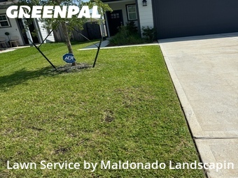 Lawn Cut nearby Waller, TX, 