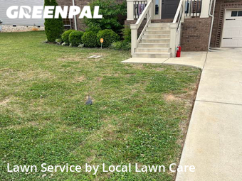 Grass Cut nearby Clarksville, TN, 