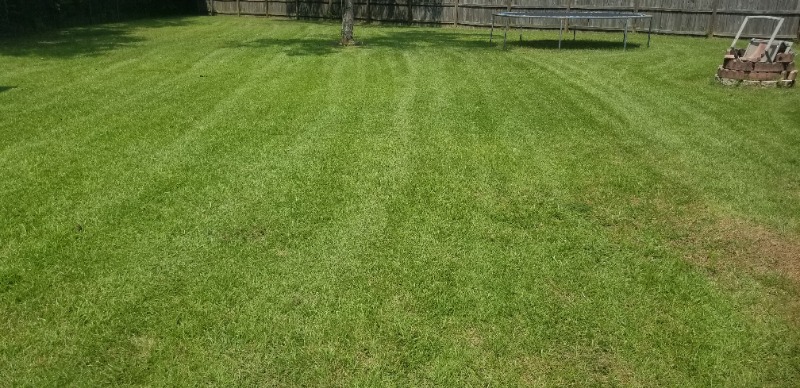 Lawn Care Service in Pensacola, FL, 32505