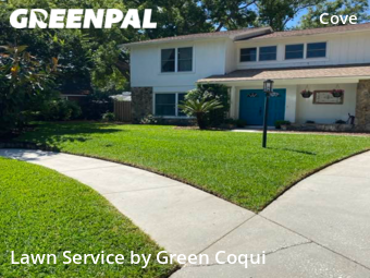 Lawn Care Service nearby Tampa, FL, 