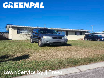 Lawn Servicein Clearwater,33759,Lawn Cutting by Jj Trees, work completed in Feb , 2026