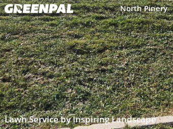 Yard Maintenance in Parker, 80134, Lawn Care by Inspiring Landscape, work completed in Dec , 2025