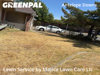 Work completed by lawn-care-experts-near-me-in-Citrus Heights-CA