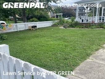 Landscape Design In Chattanooga,37405,Landscaping Maintenance by EVER GREEN, work completed in Jun , 2026