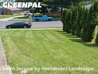Lawn Maintenance nearby Springfield Township, PA, 