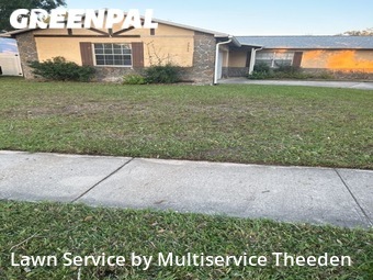 Grass Cut nearby Kissimmee, FL, 