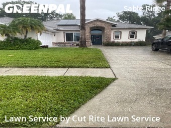 Yard Cutting nearby Land O' Lakes, FL, 