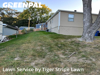 Yard Cutting nearby La Vista, NE, 