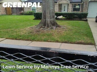 Grass Cutting nearby Friendswood, TX, 