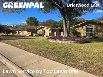Lawn Cut nearby Plano, TX, 