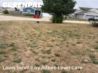 Grass Cutting in Champaign, 61822, Lawn Cutting by Adbee Lawn Care, work completed in Nov , 2025