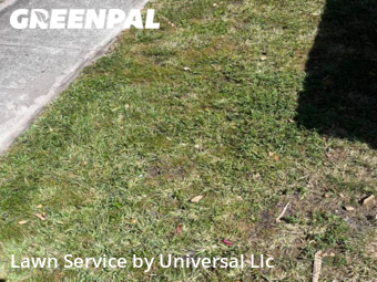 Lawn Service nearby Oakland Park, FL, 