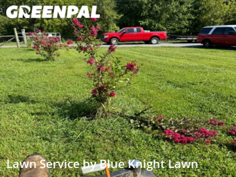 Lawn Cutting nearby Church Hill, TN, 