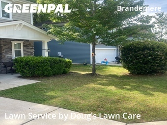 Yard Cutting nearby Raleigh, NC, 