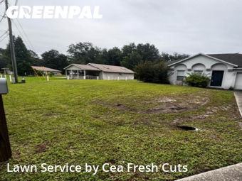 Grass Cut nearby Ocala, FL, 