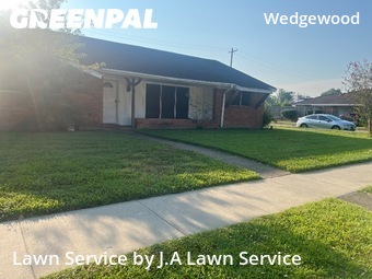 Work completed by grass-cutting-businesses-in-Pasadena-CA