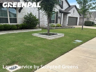 Lawn Cut nearby Melissa, TX, 