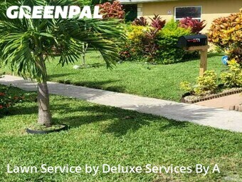 Front Yard Mowing in Lauderdale Lakes, 33311, Lawn Care by Deluxe Services By A, work completed in Oct , 2025