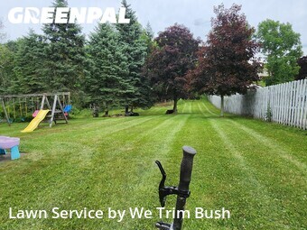 Lawn mowed in North Royalton, 44133