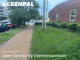 Grass Cut nearby St. Louis, MO, 