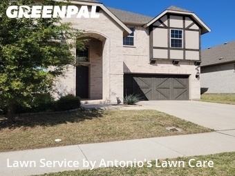 Lawn Cut nearby Irving, TX, 