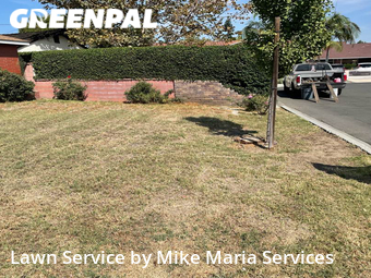 Grass Cut nearby Downey, CA, 