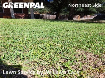 Lawn Mowing Servicein Schertz,78154,Lawn Mow by Ws Lawn Care, work completed in Nov , 2025