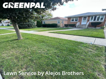 Yard Services in Oak Lawn, 60459, Yard Care by Alejos Brothers, work completed in Dec , 2025
