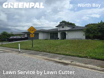 Lawn Mow nearby Safety Harbor, FL, 